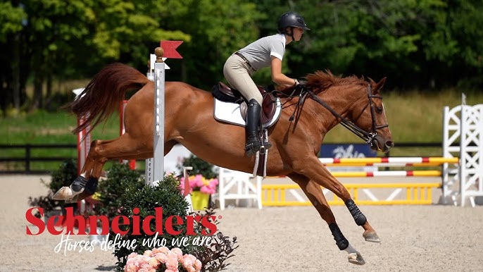 Catalog Page Optimization